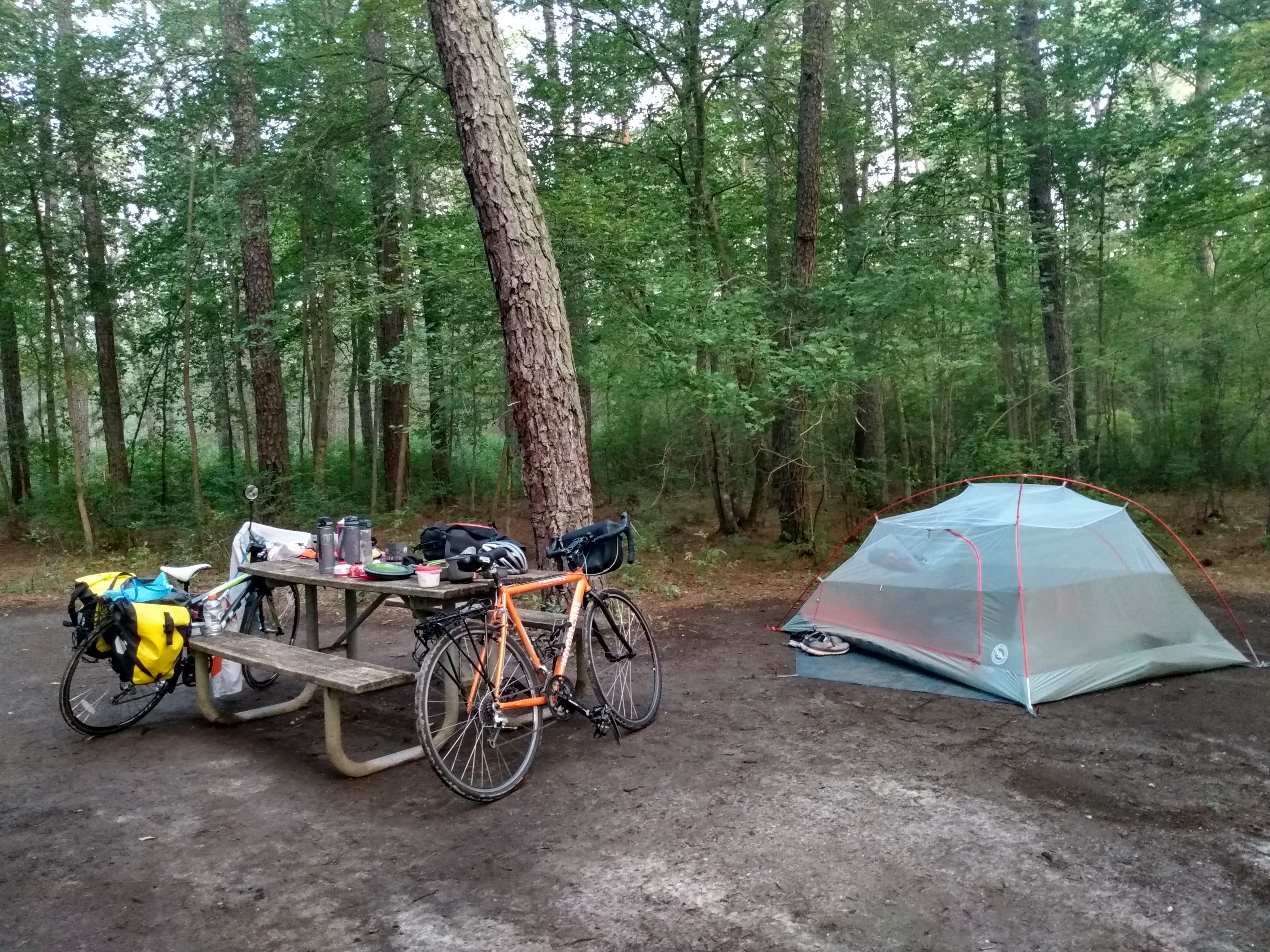 A view of our camp site in Brendan T. Byrne State Forest